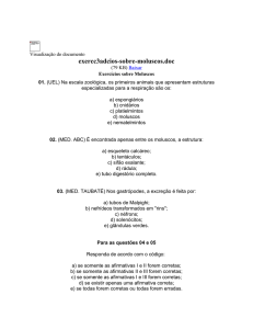 exercc3adcios-sobre-moluscos - ANTONIO NICCHIO