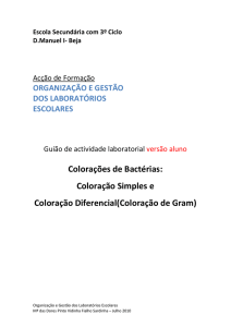 Guiao_de_actividade_-_Coloracoes_de_bacterias