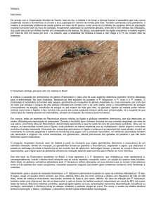 Malária - Msjoseoliveira