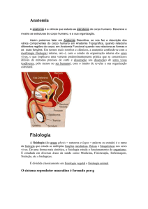 Anatomia - Escola Filinto