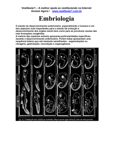 Embriologia - Vestibular1
