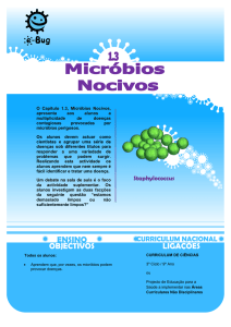 Micróbio Infeccioso Doença Bactéria Meningite bacteriana