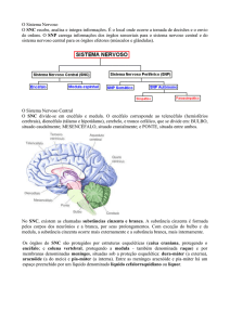 O Sistema Nervoso O SNC recebe, analisa e integra informações. É