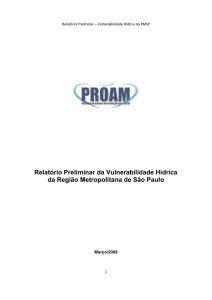 Relatório Preliminar – Vulnerabilidade Hídrica da RMSP Relatório