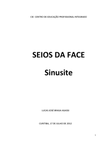 Lucas Jose Braga Agassi - Seios da Face: Sinusite