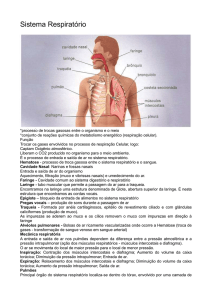 6 – Sistema Respiratório