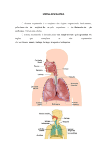30. sistema respiratório com prova