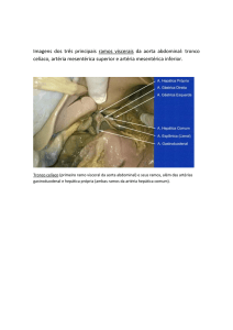 Imagens 2 - Anatomia do abdome Arquivo
