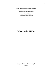 Cultura do Milho - Tec. em Agropecuária:Belizário de Oliveira Carpes