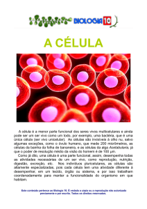 a célula - Biologia 10