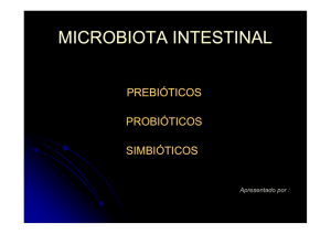 Microbiota - prebiótico e probiótico