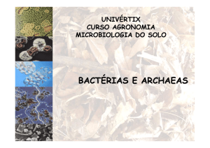 bactérias e archaeas