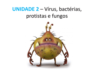 UNIDADE 2 – Vírus, bactérias, protistas e fungos