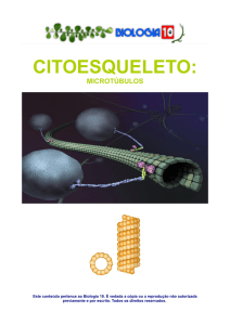 Microtúbulos - Biologia 10