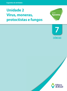 Unidade 2 Vírus, moneras, protoctistas e fungos