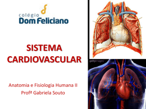 sistema cardiovascular - Colégio Dom Feliciano