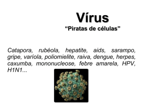 Catapora, rubéola, hepatite, aids, sarampo, gripe, varíola