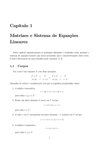 Capítulo 1 Matrizes e Sistema de Equações Lineares