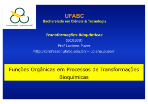 Funções Orgânicas em Processos de Transformações Bioquímicas