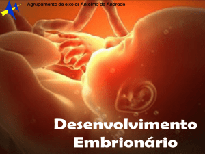Desenvolvimento Embrionário