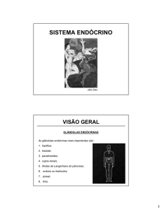 sistema endócrino - Curso de Fisiologia
