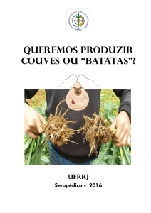 Queremos produziR couves ou “batatas”?