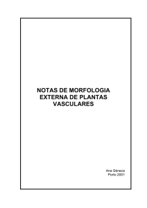 NOTAS DE MORFOLOGIA EXTERNA DE PLANTAS VASCULARES