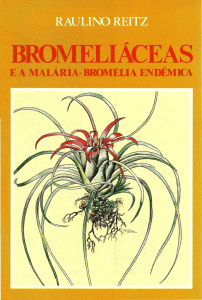 bromeliáceas - Herbário "Barbosa Rodrigues"