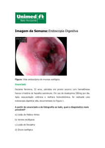 Imagem da Semana:Endoscopia Digestiva - Unimed-BH