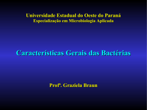 Características Gerais das Bactérias