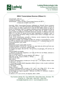 MMLV Transcriptase Reversa (RNase H-)
