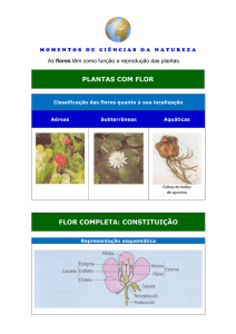 PLANTAS COM FLOR FLOR COMPLETA: CONSTITUIÇÃO