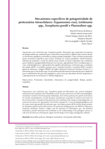 Mecanismos específicos de patogenicidade de protozoários