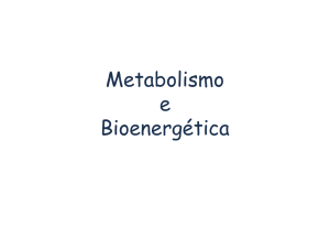 Metabolismo e Bioenergética