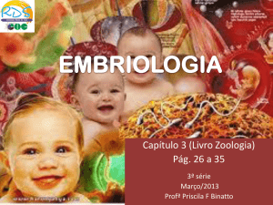 Embriologia Terceirao