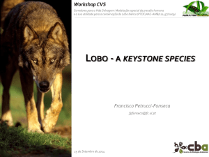 lobo - a keystone species
