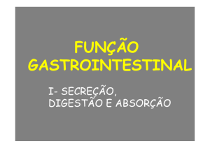Aula teórica Gastrointestinal II File
