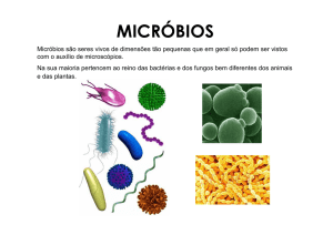 micróbios - Ciência Viva