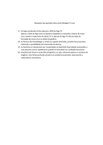 Respostas das questões discursivas (Biologia 1º ano) 17. Os fagos