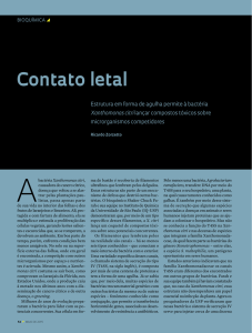Contato letal - Revista Pesquisa Fapesp