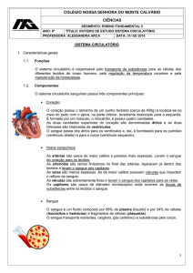 Roteiro_sistema_circulatorio