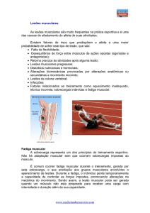 www.medicinadoexercicio.com Lesões musculares As lesões