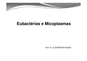 Eubacterias e Micoplasmas [Modo de Compatibilidade]