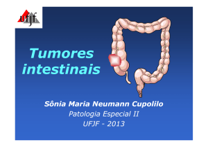 Aula 20.05.2013 - Tumores intestinais