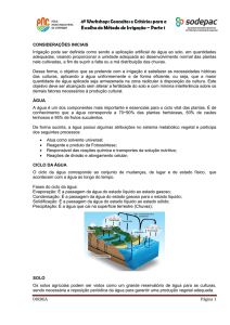 DIRDEA Página 1 CONSIDERAÇÕES INICIAIS Irrigação