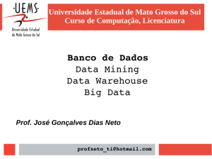 Banco de Dados Data Mining Data Warehouse Big Data