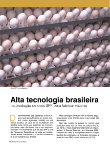 Alta tecnologia brasileira na produção de ovos SPF para fabricar