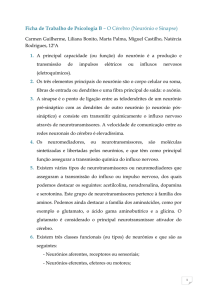 Resolução da Ficha Formativa nº5