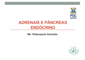 Aula 2 adrenais e pâncreas endócrino