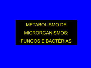 METABOLISMO DE MICRORGANISMOS: FUNGOS E BACTÉRIAS